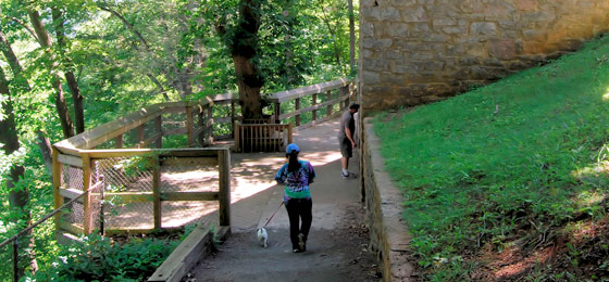 hình ảnh thanh trượt