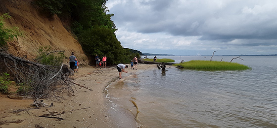 hình ảnh thanh trượt