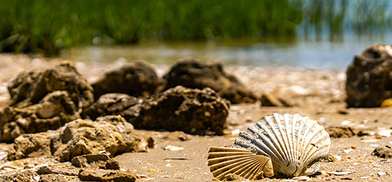 hình ảnh thanh trượt