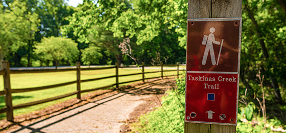 hình ảnh thanh trượt