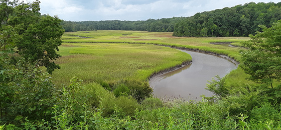 hình ảnh thanh trượt