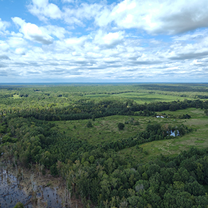Khu bảo tồn tiểu bang Falkland