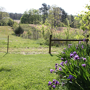 Khu bảo tồn tiểu bang Falkland