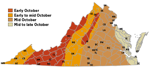 Bản đồ dự đoán màu sắc mùa thu