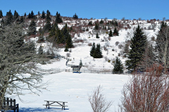 Công viên tiểu bang Grayson Highlands