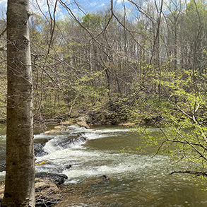 tương lai của Công viên Tiểu bang Sông Mayo