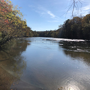 tương lai của Công viên Tiểu bang Sông Mayo