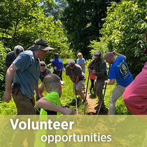 Sự kiện tình nguyện