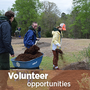 Cơ hội tình nguyện