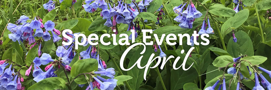 Sự kiện diễn ra vào tháng 4