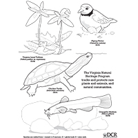 Trang tô màu di sản thiên nhiên