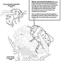 Trang tô màu Rusty Bumblebee
