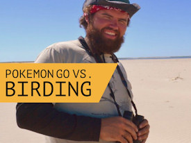 Ellison Orcutt ngắm chim