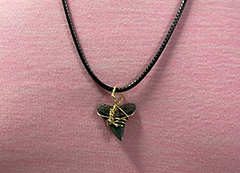 Vòng cổ răng cá mập