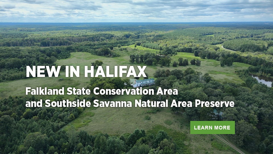 Khu bảo tồn tiểu bang Falkland