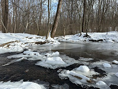 Snowy creek at Sweet Run State Park