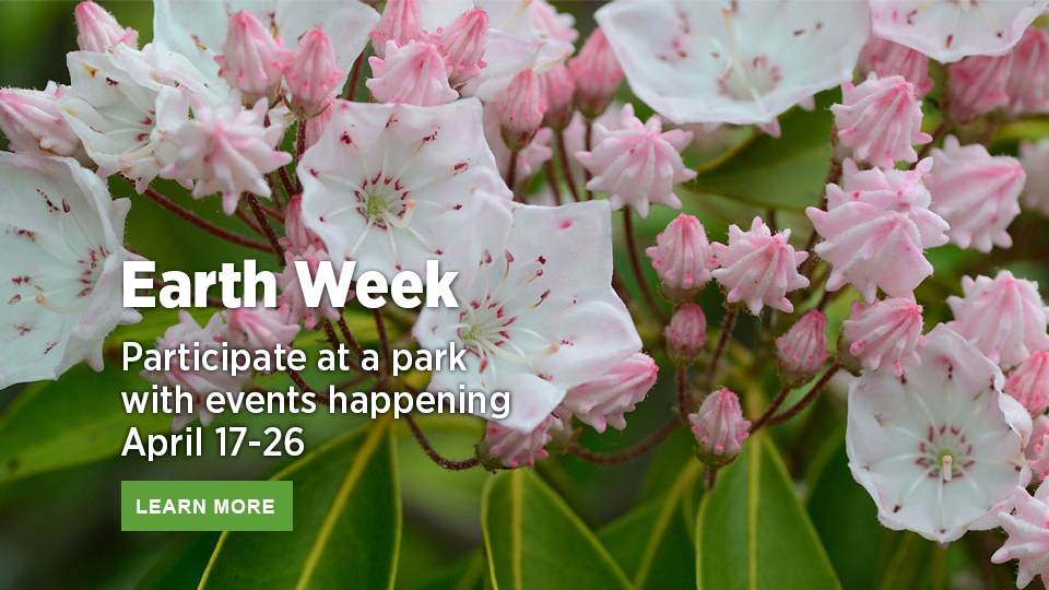 earth week mountain laurel