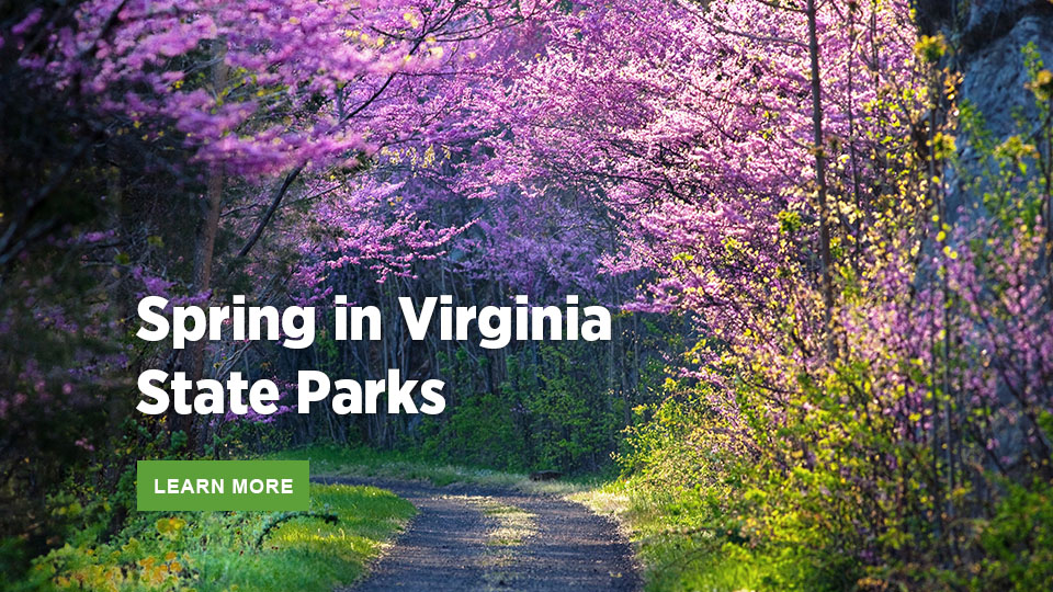 Mùa xuân ở Công viên Tiểu bang Virginia