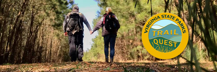 Đường mòn tìm kiếm