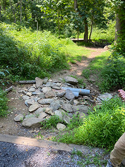 đường băng qua suối trước khi đội YCC thực hiện công việc tại Công viên Tiểu bang Sky Meadows